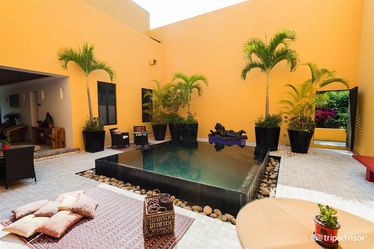 Villa Azalea Inn & Organic Farm JALISCO Extérieur photo