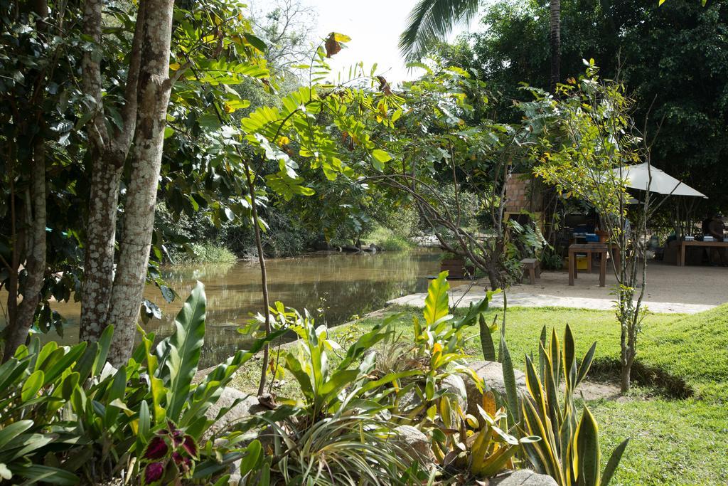 Villa Azalea Inn & Organic Farm JALISCO Extérieur photo