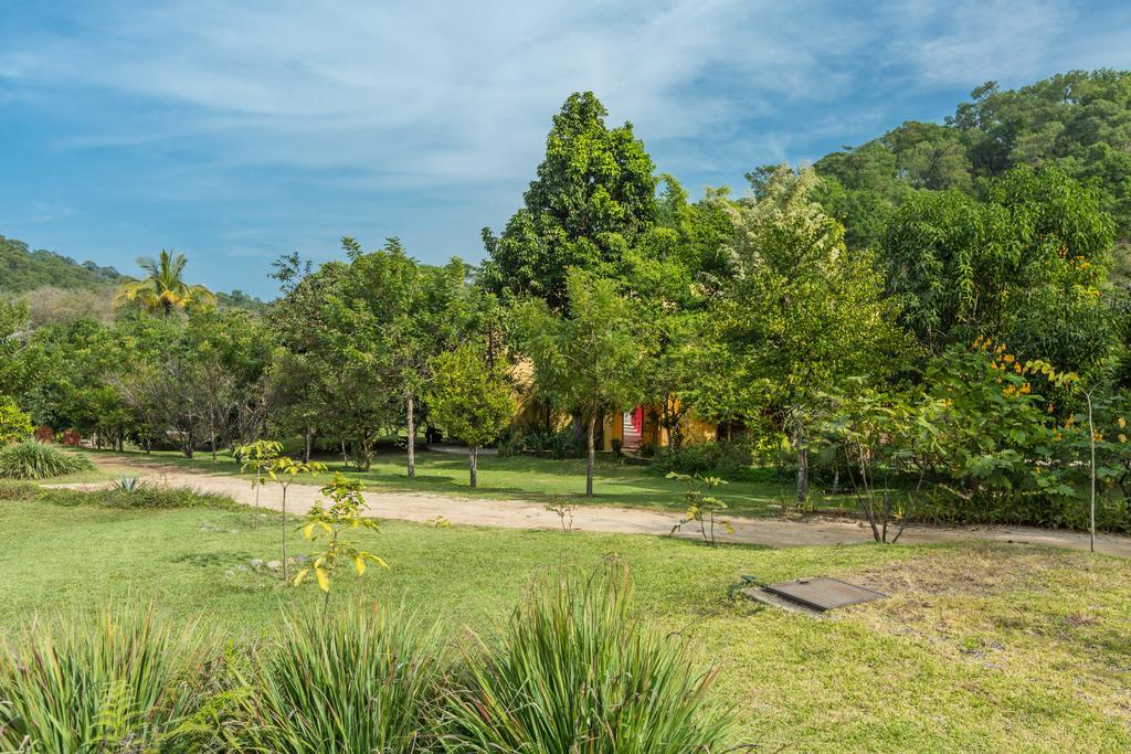 Villa Azalea Inn & Organic Farm JALISCO Extérieur photo