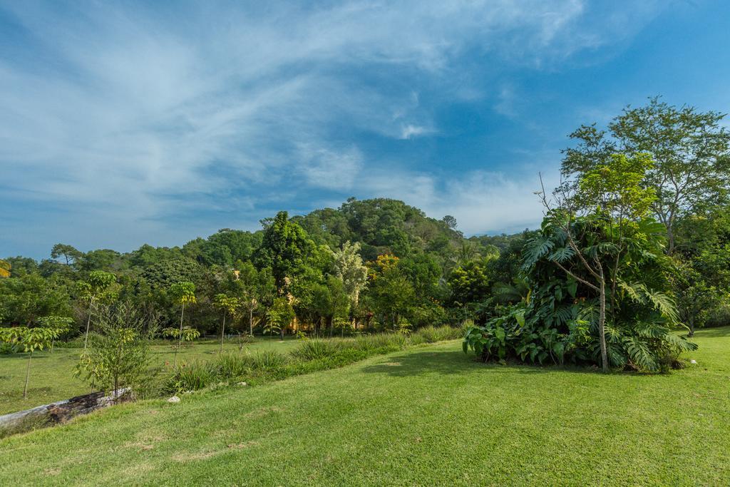 Villa Azalea Inn & Organic Farm JALISCO Extérieur photo