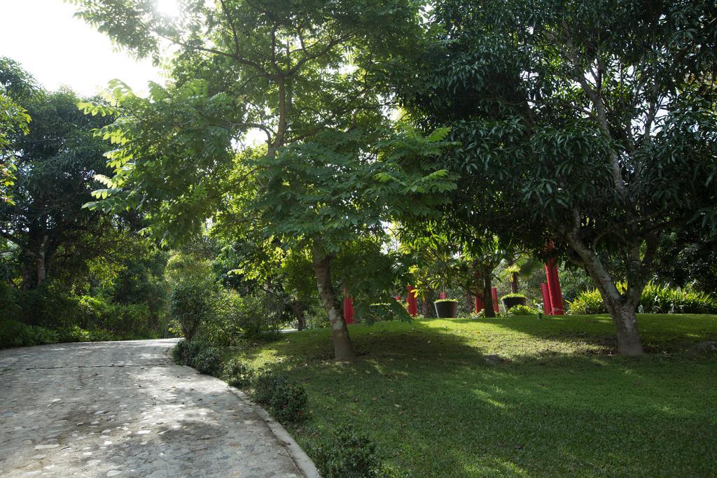 Villa Azalea Inn & Organic Farm JALISCO Extérieur photo